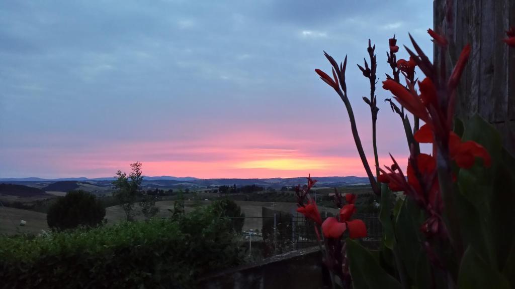 Agriturismo Marruchetone Vecchio Manciano Eksteriør bilde
